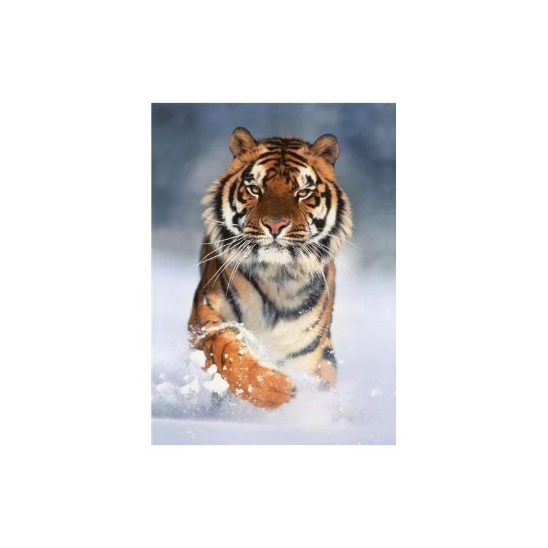 PUZZLE CLEMENTONI  1000 PZ TIGER