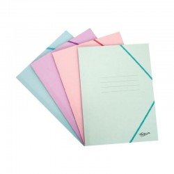 CARPETA GOMAS CARTON FOLIO...