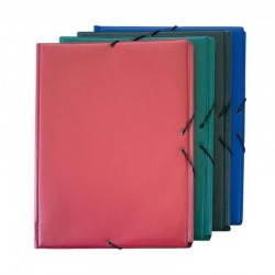 CARPETA GOMAS PLASTIFICADA DURO FOLIO