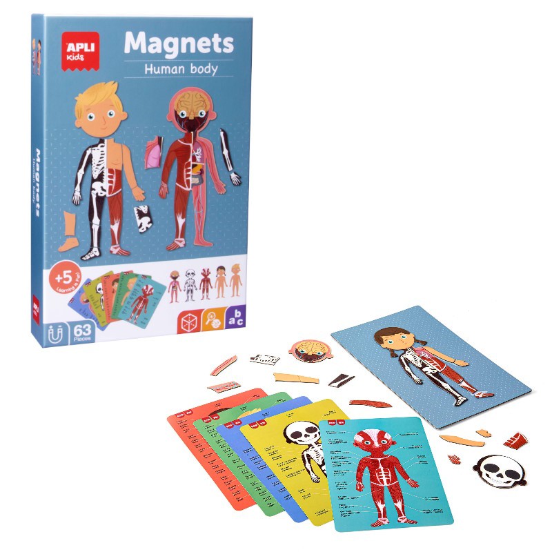 JUEGO EDUCATIVO EL CUERPO HUMANO MAGNETICO